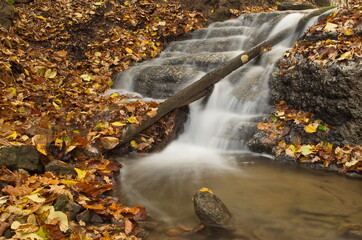Obraz na płótnie Canvas Saule waterfall in autumn day, Matkule, Latvia.