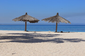 Beach umbrellas with the ocean in the background