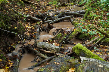 Small river with woods, rocks and waterfall.
