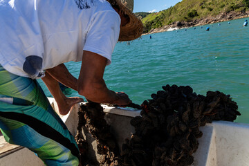 Sao Sebastiao, Brazil, September 16, 2015. Fisherman working on a mussel farm in the sea