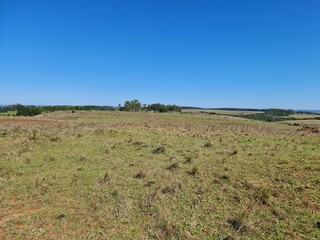 Fototapeta premium campo, pecuária, agronegócio, 
