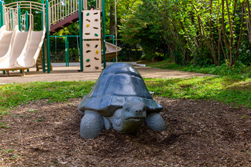 a turtle on the playground.