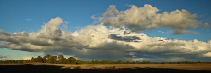 Panorama with field, trees, blue sky and clouds.