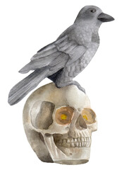 Watercolor Skull, Isolated on white background