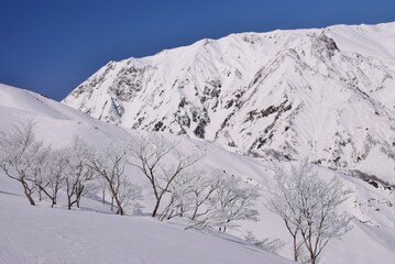 白馬八方尾根から望む白馬の峰々