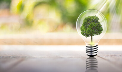 Energy saving light bulb and save world concept, sustainable development. Ecology concept