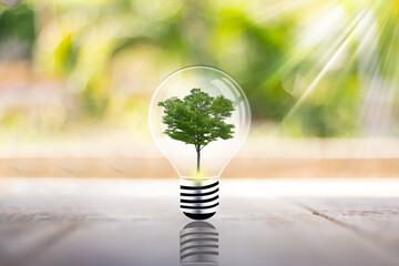 The concept of using a light bulb to rescue the world and create a business, Energy-saving light bulbs and the goal of saving the world, as well as sustainable development. Concept of ecology