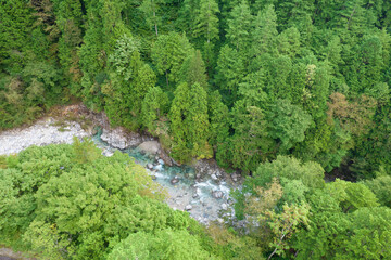 Fototapeta na wymiar 日本の美しい渓谷　山から湧き出た清らかな水が流れる川と、ヒノキの美しい森が広がる「阿寺渓谷」