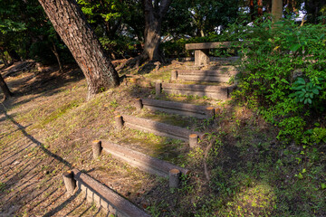 夕方の太陽の光を浴びる公園の階段