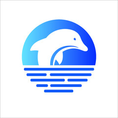 dolphin jump on the sea