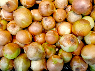 A close up photo of fresh onion is being sold on fresh ingredient market