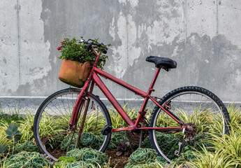 Fototapeta na wymiar old bicycle in the garden