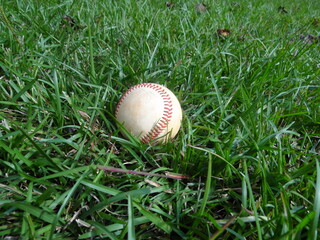 Old baseball sitting in green grass.