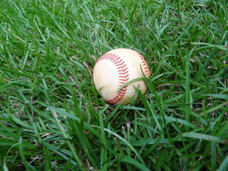 Old baseball sitting in green grass.