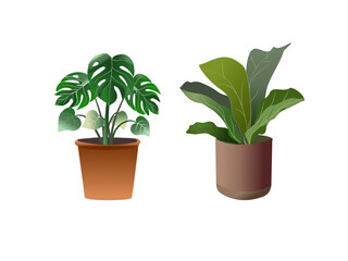 Drawing potted plant ,houseplant on a white background.Vector illustration.