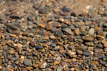 stones by the water. rocky river bank. beautiful, smooth and colored stones on the banks of the Amur River. top view, flat lay
