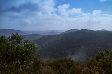 After a cloudburst in the Tarkine Ranges, northwestern part of Tasmania, Australia.