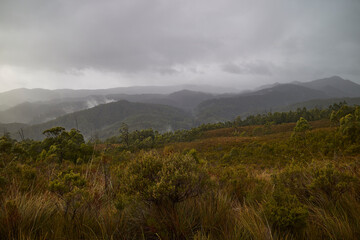 Fototapeta na wymiar After a cloudburst in the Tarkine Ranges, northwestern part of Tasmania, Australia.