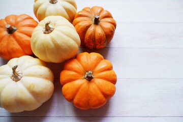 Mini pumpkins composition background for design. Mini pumpkin decoration. Halloween, Harvest, Autumn concept background.