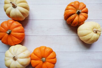 Mini pumpkins composition background for design. Mini pumpkin decoration. Halloween, Harvest, Autumn concept background.