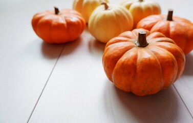 Mini pumpkins composition background for design. Mini pumpkin decoration. Halloween, Harvest, Autumn concept background.