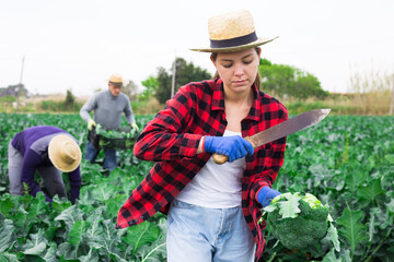 Portrait of young smiling woman working in field harvesting broccoli