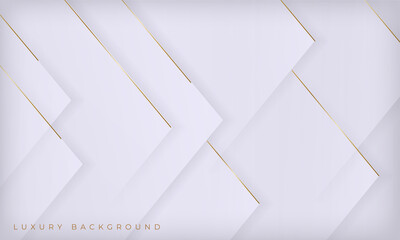 Abstract white and golden line luxury background. 