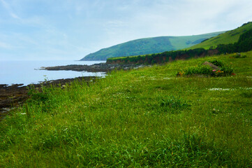 Blue Sky Outlook South West Coast Path Looe Cornwall Wildflowers