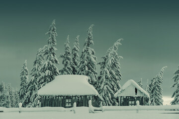 Obraz premium Winter landscape with small old house