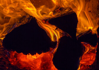 Burning wood, fire in the fireplace