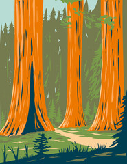 WPA poster art of Mariposa Grove of giant sequoia in the southernmost part of Yosemite National Park near Wawona, California, United States USA done in works project administration style. - obrazy, fototapety, plakaty