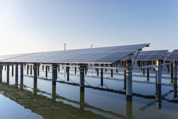 rows of solar panels on the fishpond
