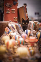 cat on background and hot balloons on foreground
