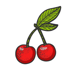 sweet cherry sketch raster illustration