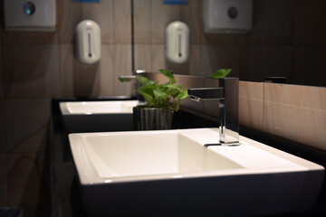 Modern bathroom interior with sink with plants and soap dispenser.