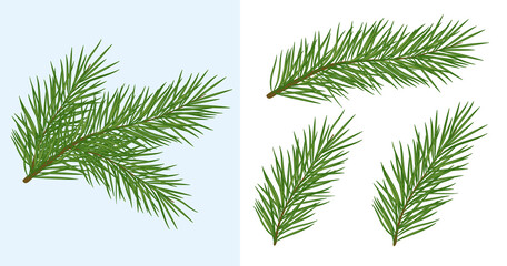 Fototapeta premium pine branch. isolated on a white background. cartoon style
