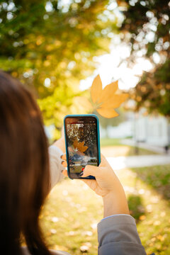 person takes pictures on the phone autumn landscape
