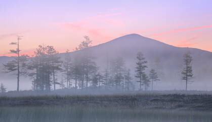 Foggy morning in the swamp in the valley of the mountains