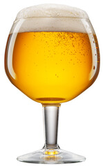 Glass of beer with big white foam and gas bubbles inside. File contains clipping path.
