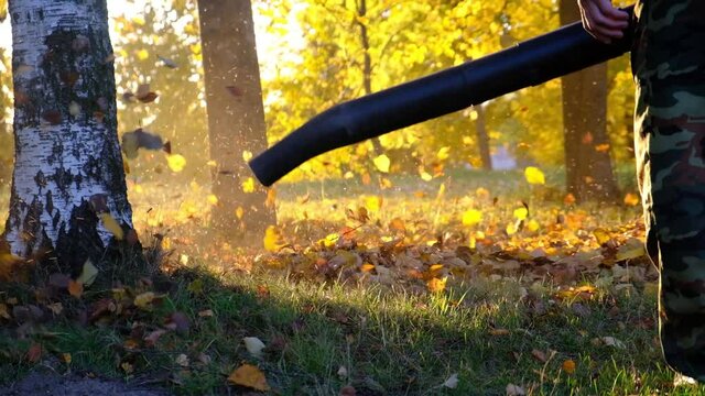Worker cleaning lawn in park from Dead Leaves using gas powered Leaf Blower