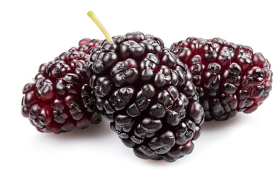 Three ripe black mulberries fruits isolated on white background.
