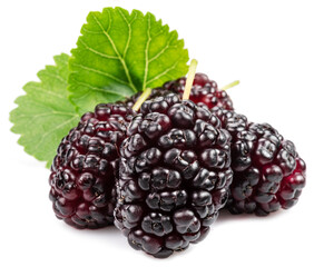 Ripe black mulberries fruits with green leaves isolated on white background.