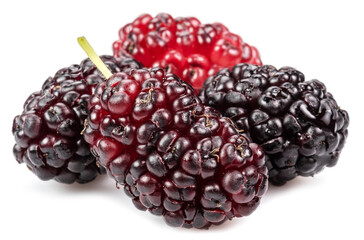 Ripe black mulberries fruits isolated on white background.