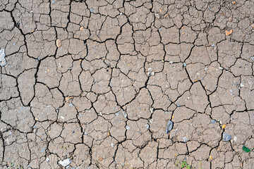 Dry mud cracked ground texture. Drought season background. Dry and cracked land, dry due to lack of rain. Effects of climate change.