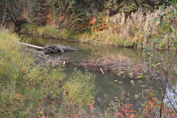 October On The Creek, Whitemud Park, Edmonton, Alberta