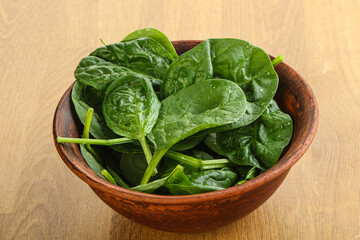 Fresh green spinach leaves in the bowl