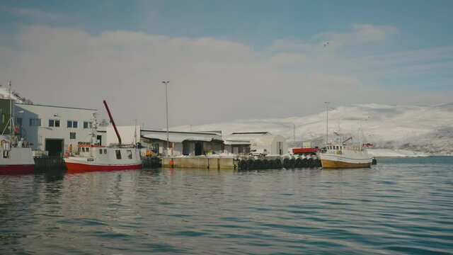 Cod fishing boats at harbour offloading their catch, Tromso, Norway