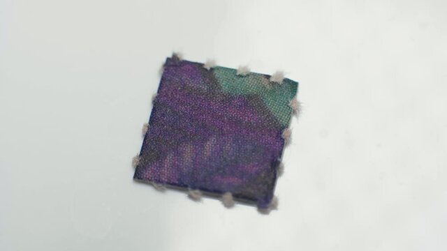 4K Macro shot of a purple acid tab of LSD.