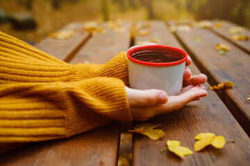 Fototapeta na wymiar cup of hot tea in female hands holding it on wooden table autumn background with leaves. Warm drink concept.