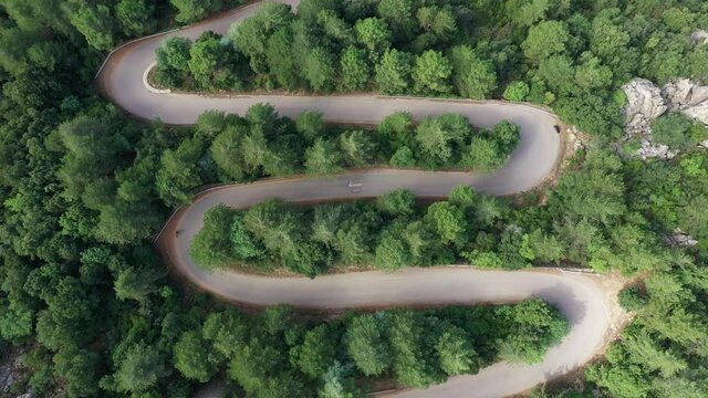 View from above, stunning aerial view of a car running along a serpentine road surrounded by green pine trees. Mount Limbara (Monte Limbara) Sardinia, Italy	